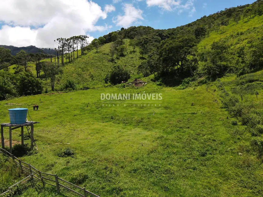Foto 4 de Sítio / Rancho à venda em Campos Do Jordao - SP