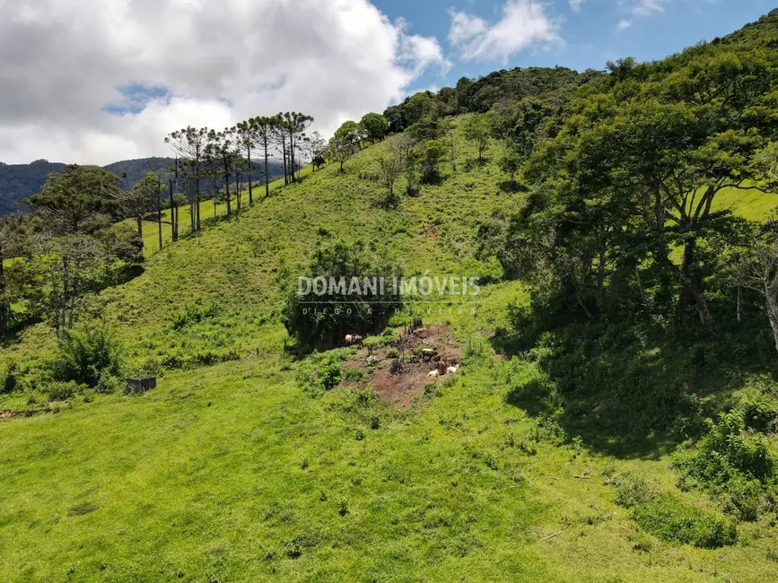 Foto 3 de Sítio / Rancho à venda em Campos Do Jordao - SP