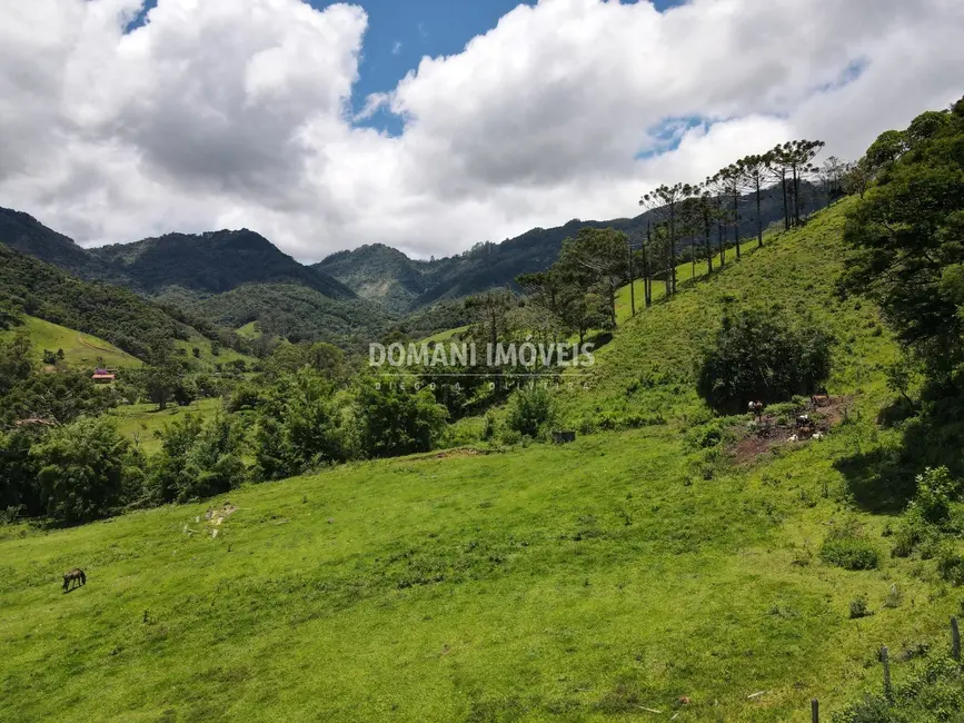 Foto 6 de Sítio / Rancho à venda em Campos Do Jordao - SP