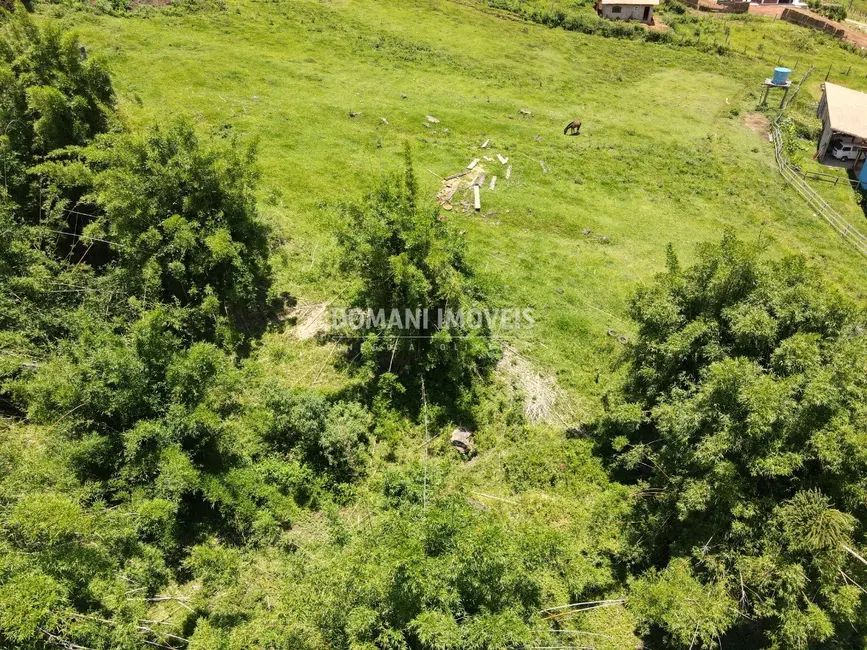 Foto 7 de Sítio / Rancho à venda em Campos Do Jordao - SP