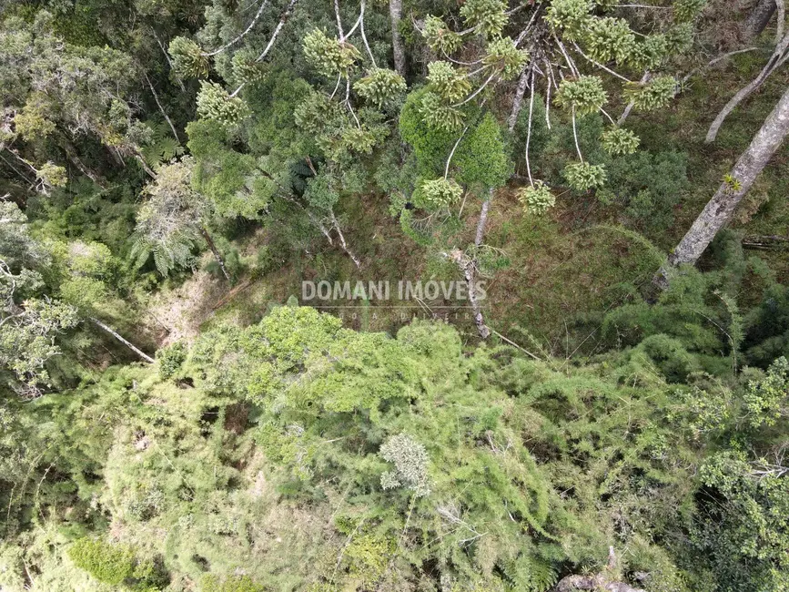 Foto 9 de Terreno / Lote à venda, 1110m2 em Campos Do Jordao - SP