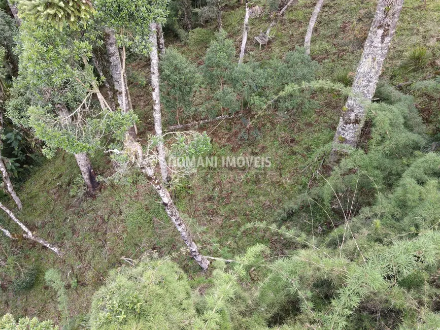 Foto 5 de Terreno / Lote à venda, 1110m2 em Campos Do Jordao - SP