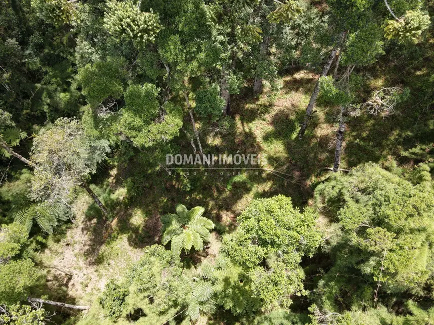 Foto 2 de Terreno / Lote à venda, 1110m2 em Campos Do Jordao - SP
