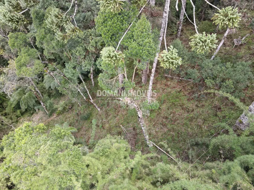 Foto 1 de Terreno / Lote à venda, 1110m2 em Campos Do Jordao - SP