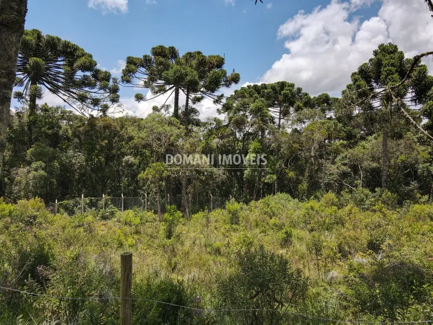 Foto 1 de Terreno / Lote à venda, 1010m2 em Campos Do Jordao - SP