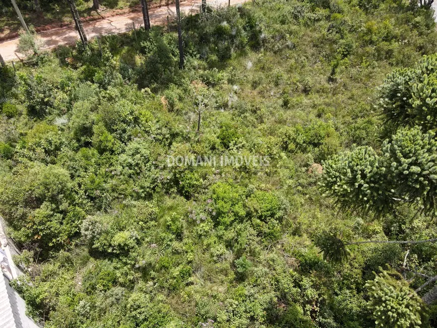 Foto 3 de Terreno / Lote à venda, 1010m2 em Campos Do Jordao - SP