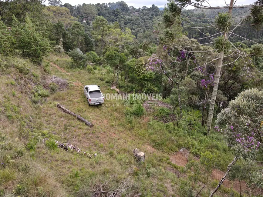 Foto 4 de Terreno / Lote à venda, 2000m2 em Campos Do Jordao - SP