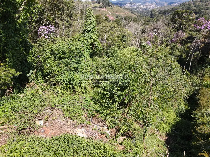 Foto 9 de Terreno / Lote à venda, 1080m2 em Campos Do Jordao - SP