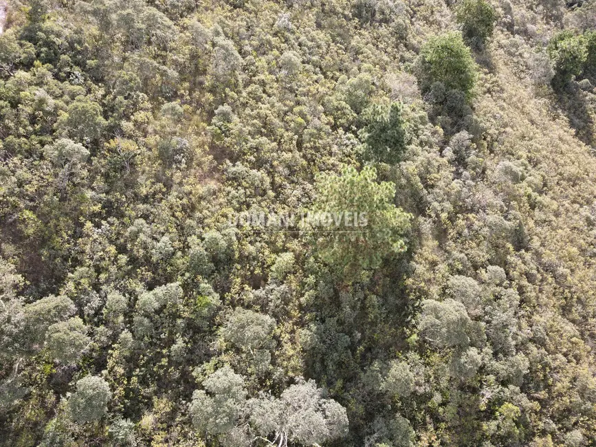 Foto 2 de Terreno / Lote à venda, 1010m2 em Campos Do Jordao - SP