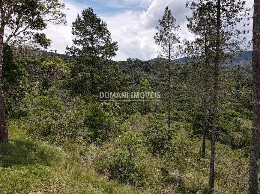 Foto 5 de Terreno / Lote à venda, 1370m2 em Campos Do Jordao - SP