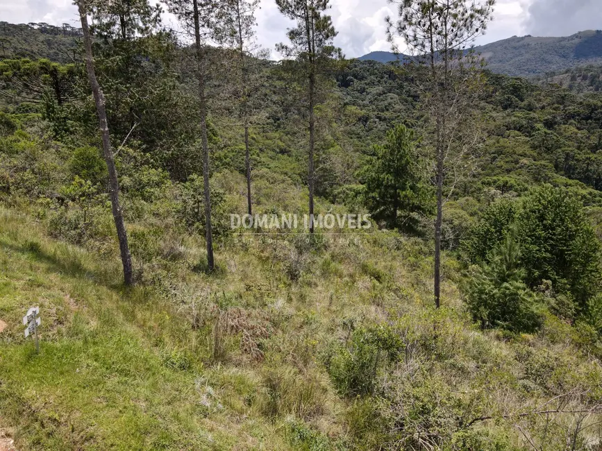 Foto 6 de Terreno / Lote à venda, 1370m2 em Campos Do Jordao - SP