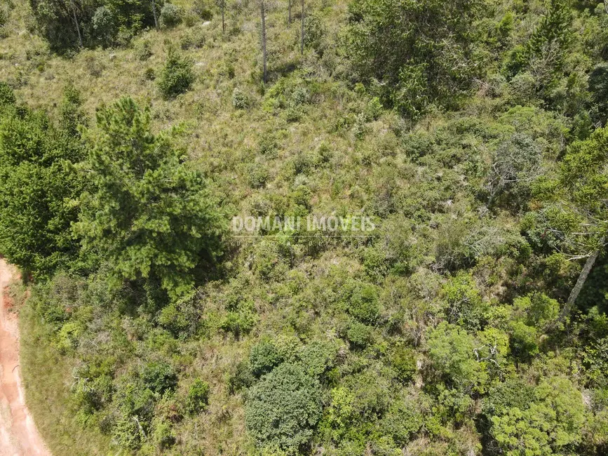 Foto 7 de Terreno / Lote à venda, 1050m2 em Campos Do Jordao - SP