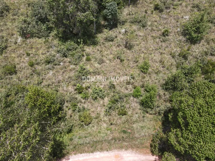 Foto 8 de Terreno / Lote à venda, 1050m2 em Campos Do Jordao - SP
