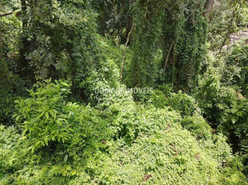 Foto 1 de Terreno / Lote à venda, 2130m2 em Campos Do Jordao - SP