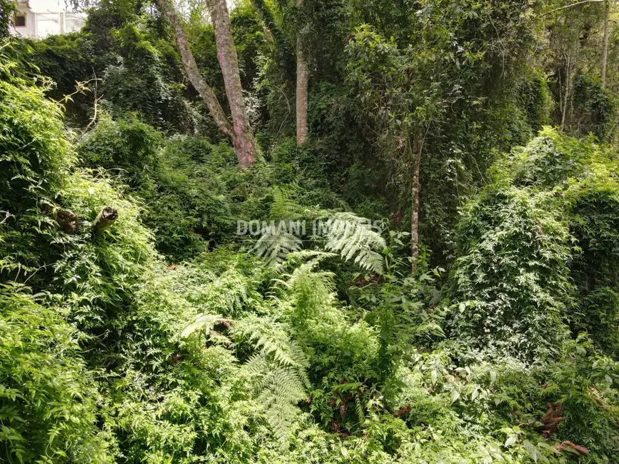 Foto 9 de Terreno / Lote à venda, 2130m2 em Campos Do Jordao - SP