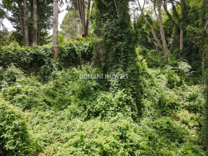 Foto 2 de Terreno / Lote à venda, 2130m2 em Campos Do Jordao - SP