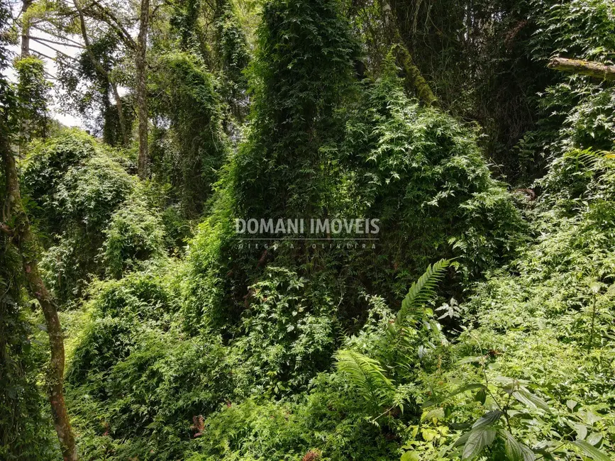 Foto 7 de Terreno / Lote à venda, 2130m2 em Campos Do Jordao - SP