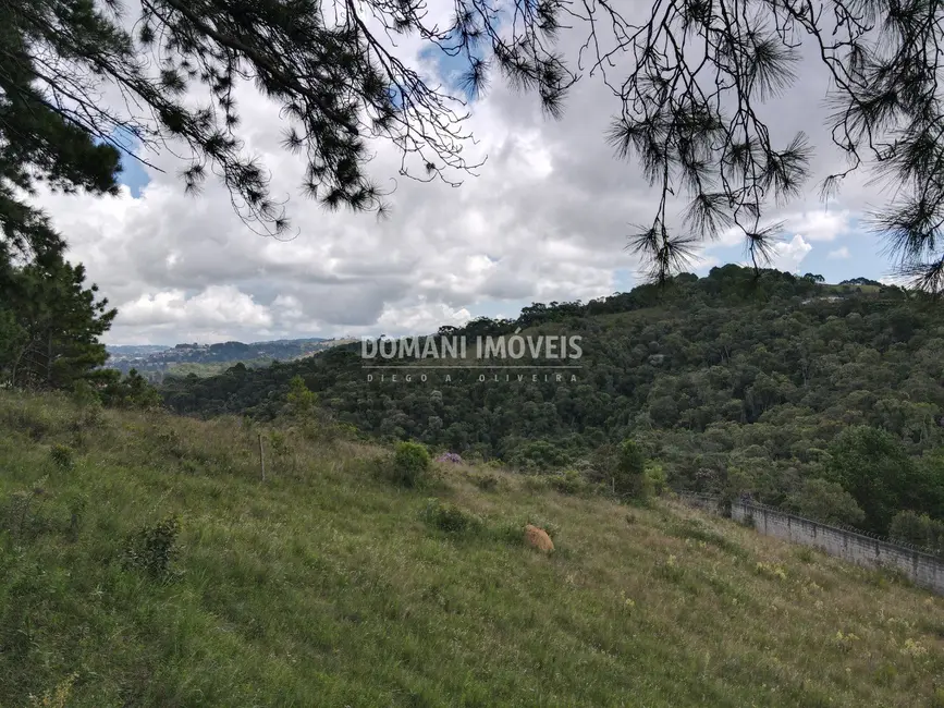 Foto 7 de Terreno / Lote à venda, 1340m2 em Campos Do Jordao - SP