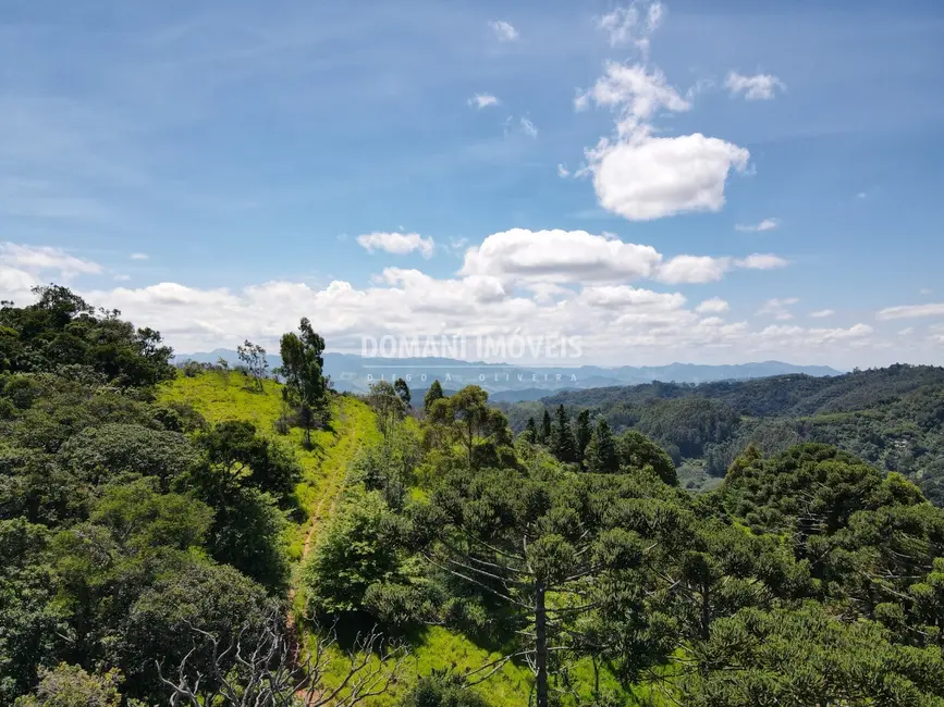 Foto 8 de Terreno / Lote com 2 quartos à venda, 1360m2 em Campos Do Jordao - SP
