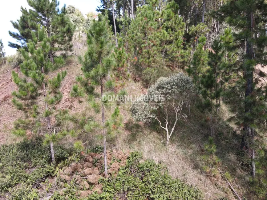 Foto 6 de Terreno / Lote à venda, 1800m2 em Campos Do Jordao - SP
