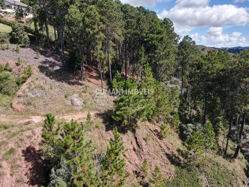 Foto 4 de Terreno / Lote à venda, 1800m2 em Campos Do Jordao - SP