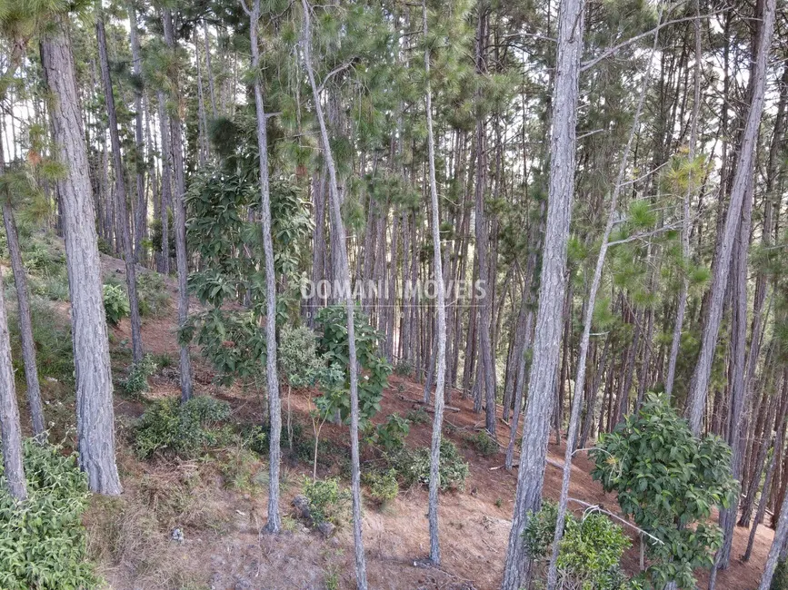 Foto 8 de Terreno / Lote à venda, 1800m2 em Campos Do Jordao - SP