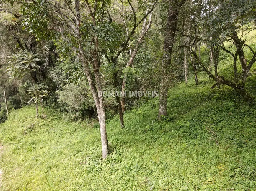 Foto 5 de Terreno / Lote à venda, 1270m2 em Campos Do Jordao - SP