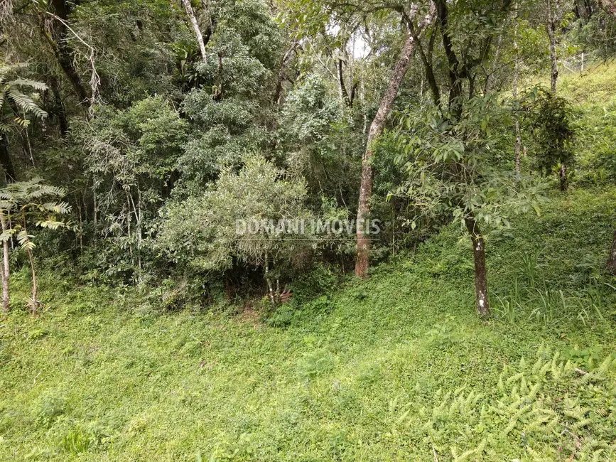 Foto 9 de Terreno / Lote à venda, 1270m2 em Campos Do Jordao - SP