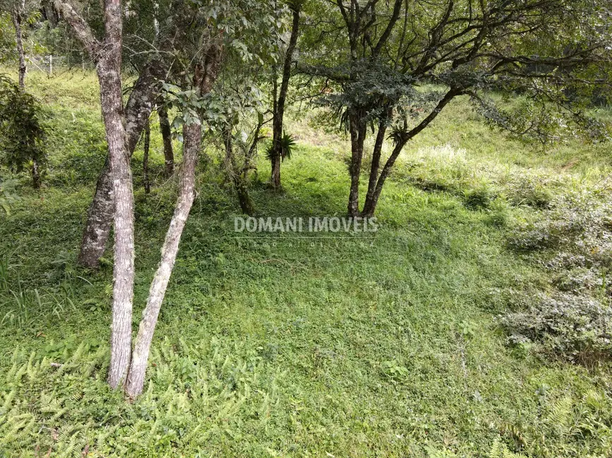 Foto 4 de Terreno / Lote à venda, 1270m2 em Campos Do Jordao - SP