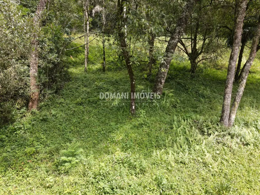 Foto 7 de Terreno / Lote à venda, 1270m2 em Campos Do Jordao - SP