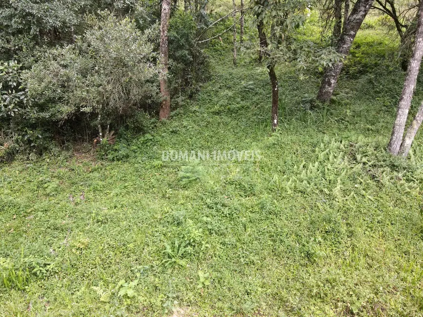 Foto 8 de Terreno / Lote à venda, 1270m2 em Campos Do Jordao - SP
