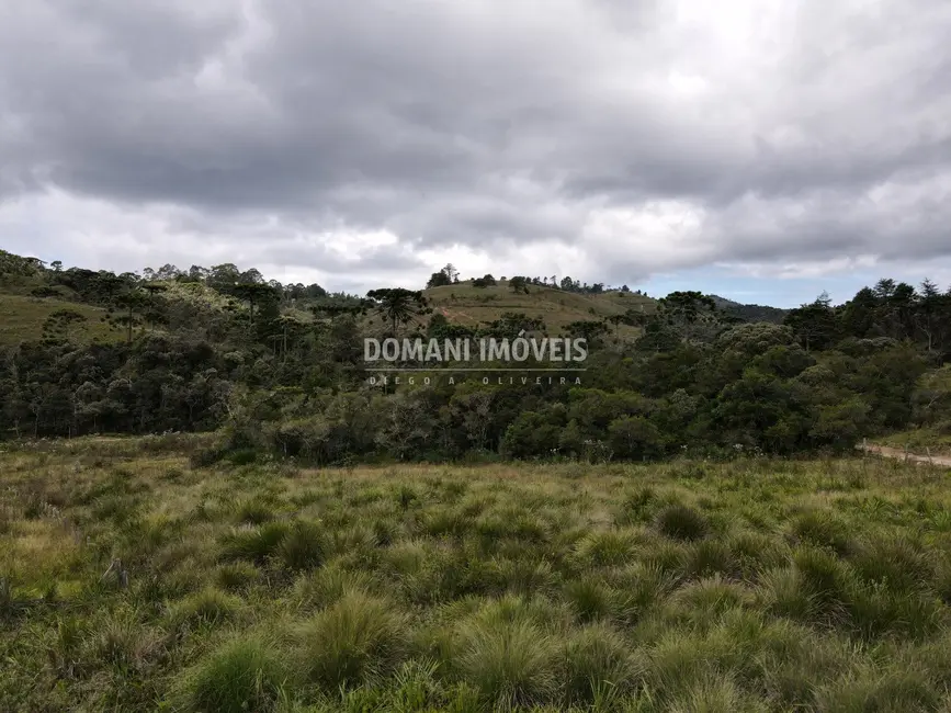 Terreno / Lote à venda, 7500m2 em Campos Do Jordao - SP - imagem 4 Foto 4 de Terreno / Lote à venda, 7500m2 em Campos Do Jordao - SP