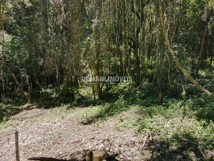 Foto 1 de Terreno / Lote à venda, 970m2 em Campos Do Jordao - SP