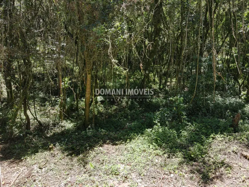 Foto 9 de Terreno / Lote à venda, 970m2 em Campos Do Jordao - SP