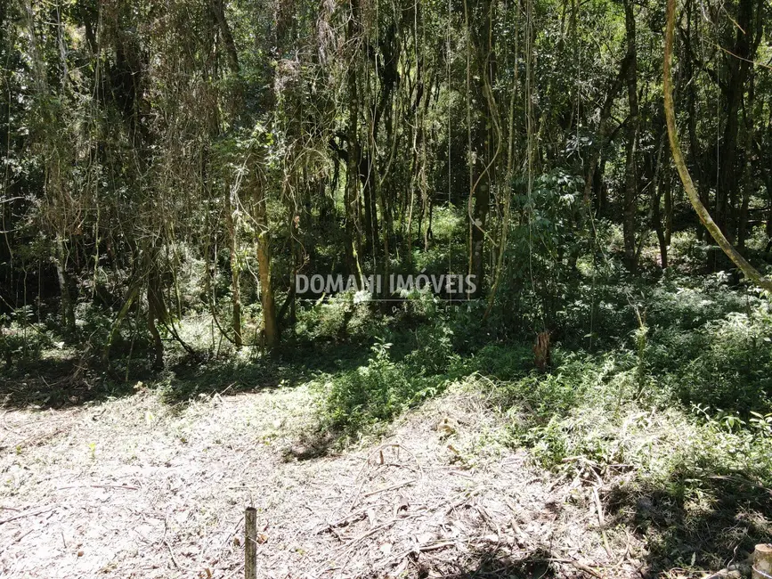 Foto 5 de Terreno / Lote à venda, 970m2 em Campos Do Jordao - SP