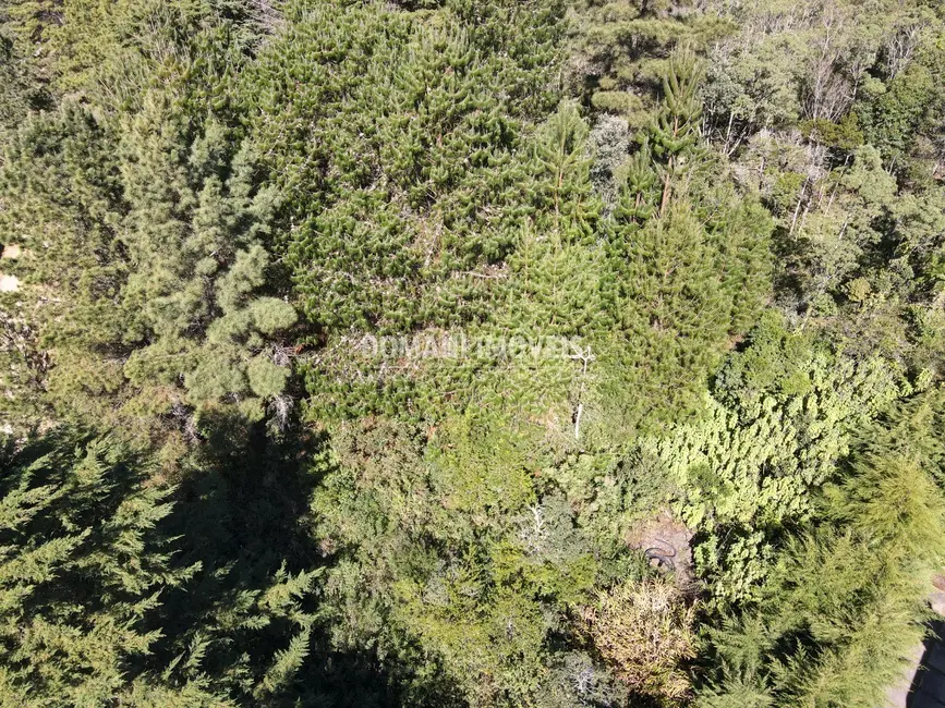 Foto 6 de Terreno / Lote à venda, 1090m2 em Campos Do Jordao - SP