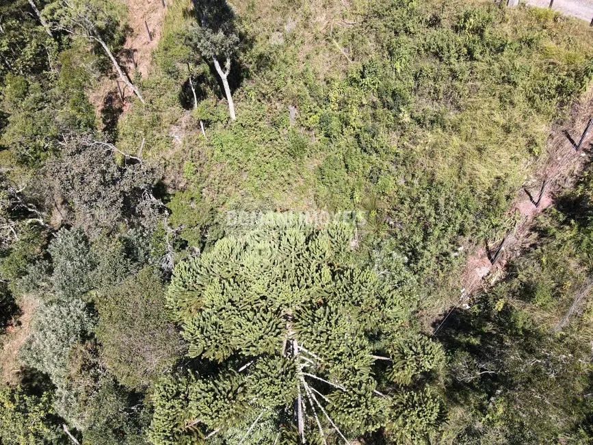 Foto 9 de Terreno / Lote à venda, 2080m2 em Campos Do Jordao - SP