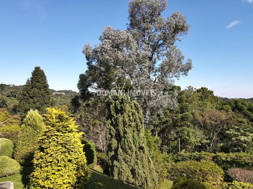 Casa com 4 quartos à venda, 245m2 em Campos Do Jordao - SP - imagem 3 Foto 3 de Casa com 4 quartos à venda, 245m2 em Campos Do Jordao - SP