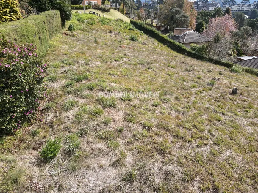 Foto 5 de Terreno / Lote à venda, 2800m2 em Campos Do Jordao - SP