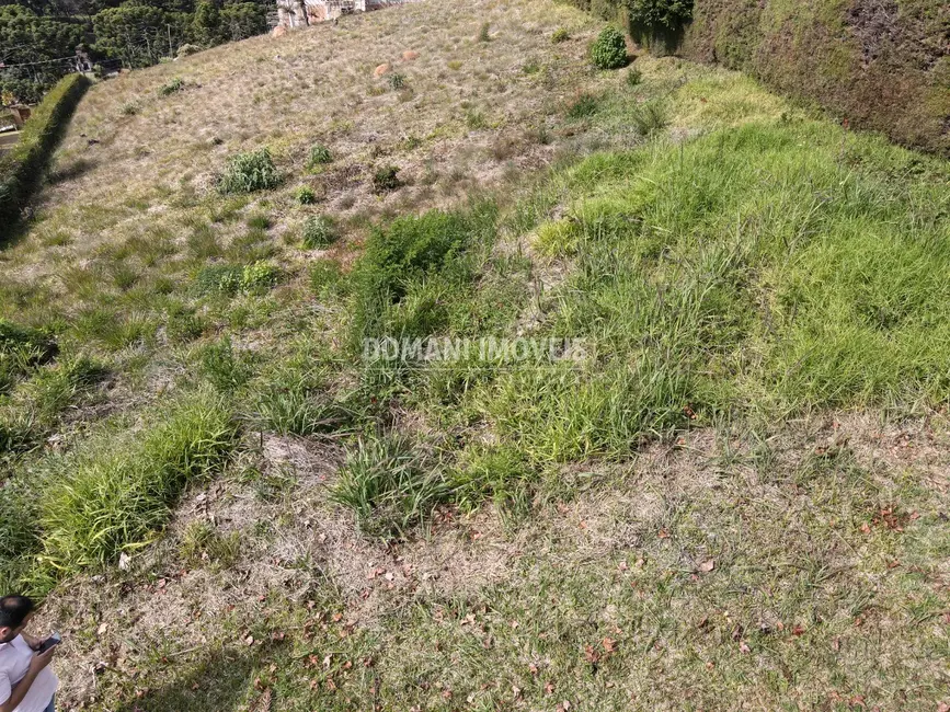 Foto 7 de Terreno / Lote à venda, 2800m2 em Campos Do Jordao - SP
