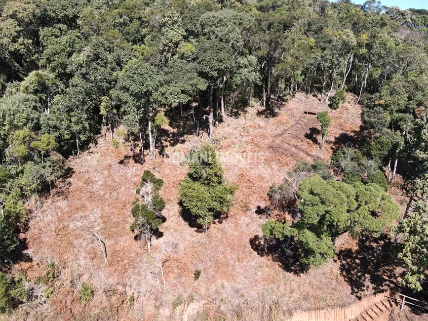 Foto 4 de Sítio / Rancho à venda em Santo Antonio Do Pinhal - SP