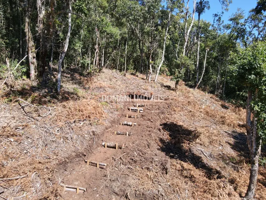 Foto 3 de Sítio / Rancho à venda em Santo Antonio Do Pinhal - SP