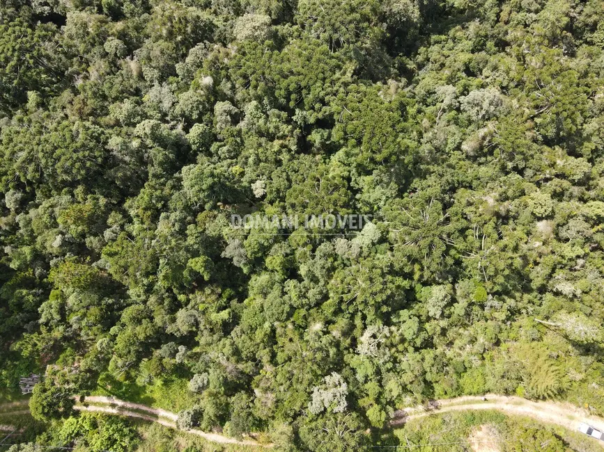 Foto 5 de Terreno / Lote à venda, 5100m2 em Campos Do Jordao - SP