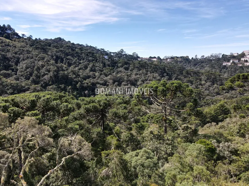 Foto 4 de Terreno / Lote à venda, 5100m2 em Campos Do Jordao - SP