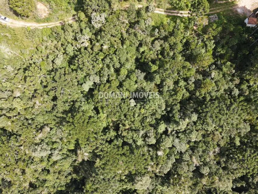 Foto 6 de Terreno / Lote à venda, 5100m2 em Campos Do Jordao - SP