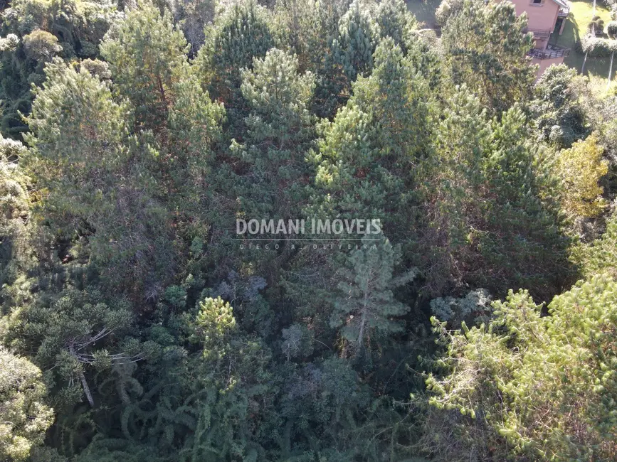 Foto 5 de Terreno / Lote à venda, 4300m2 em Campos Do Jordao - SP