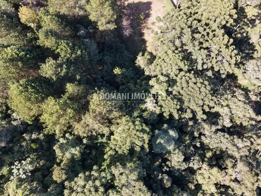 Foto 4 de Terreno / Lote à venda, 4300m2 em Campos Do Jordao - SP