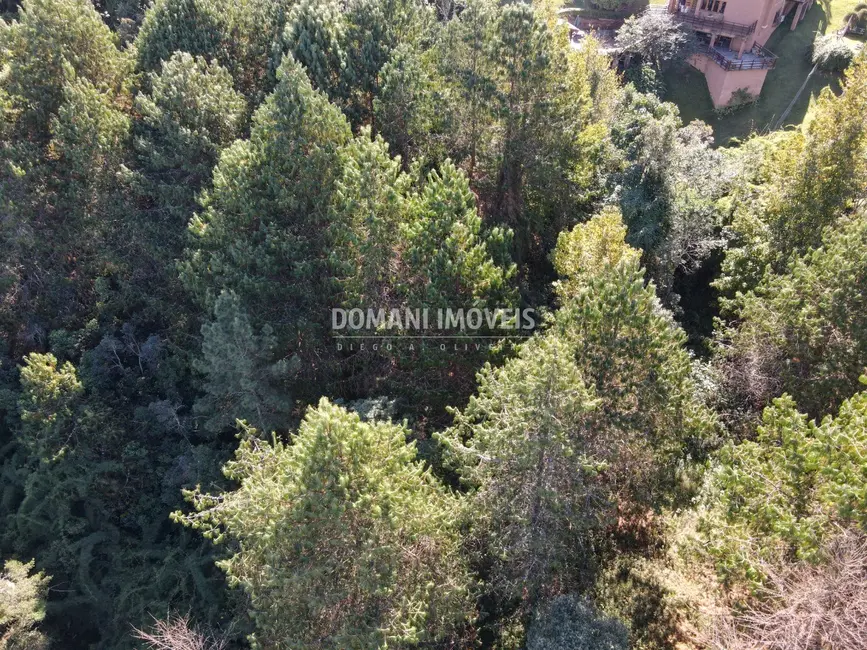 Foto 1 de Terreno / Lote à venda, 4300m2 em Campos Do Jordao - SP