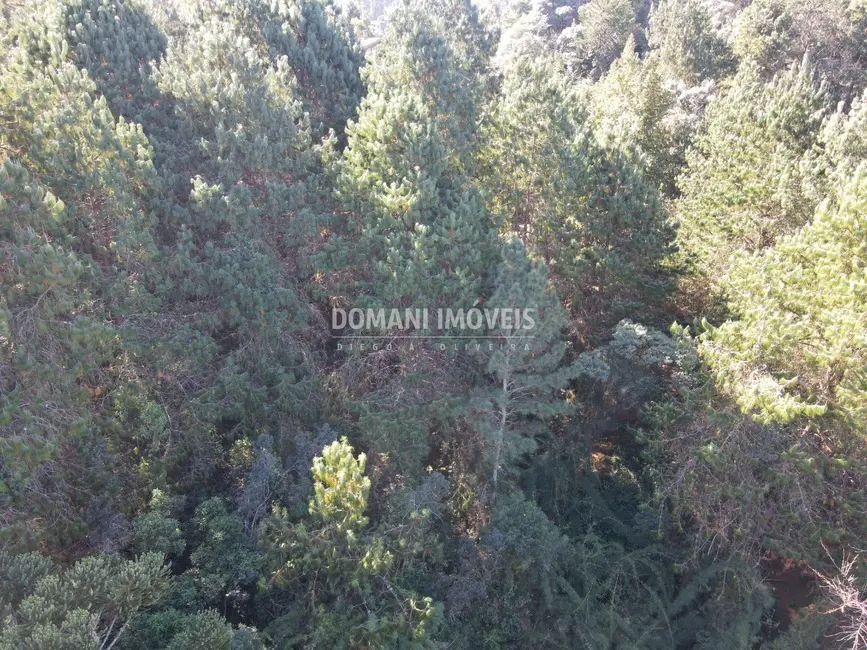 Foto 7 de Terreno / Lote à venda, 4300m2 em Campos Do Jordao - SP