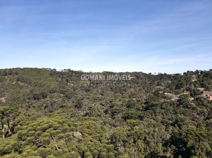 Foto 9 de Terreno / Lote à venda, 4300m2 em Campos Do Jordao - SP